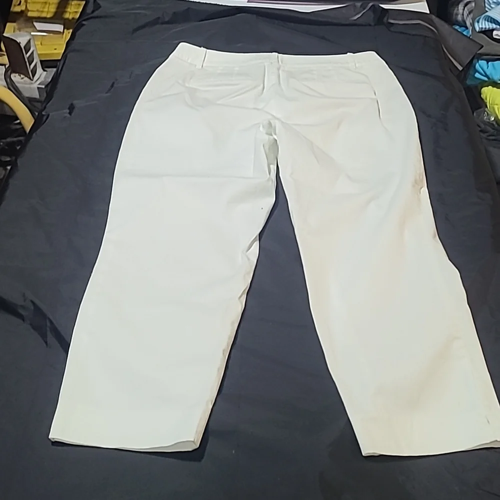 Talbots Womens Pants - Picture 4 of 11
